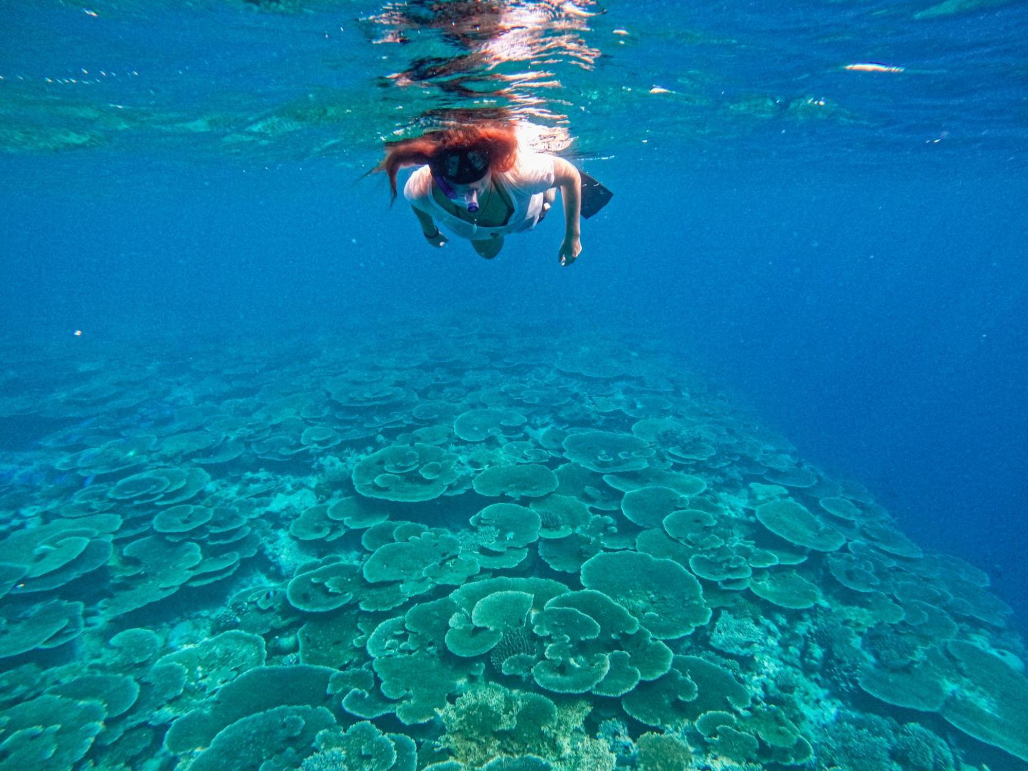 Manta Sea View Himandhoo Hotel Eksteriør billede